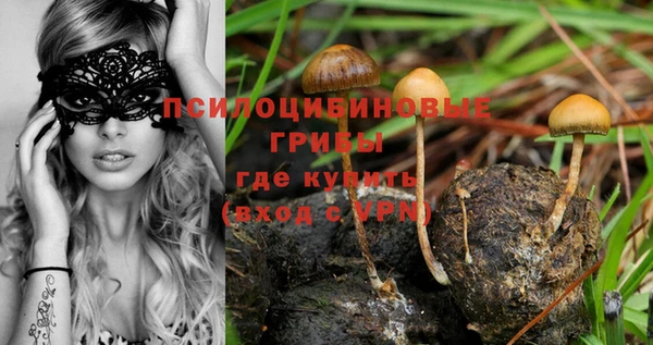 экстази Зеленокумск